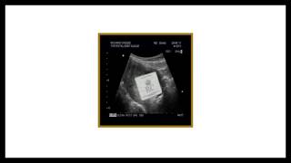 Richard Cheese "Pussy Control" (from 2013 "The Royal Baby Album")