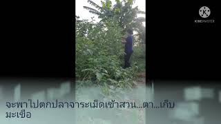 ตกเบ็ด...ปลาจารเม็ด