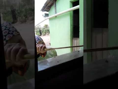 BRIGA DE CASAL IDOSO