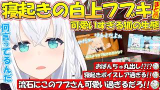 【寝起ききーつね】白上フブキの生態！可愛すぎる寝起きフブさんまとめ!!【#白上フブキ 】【#切り抜き 】