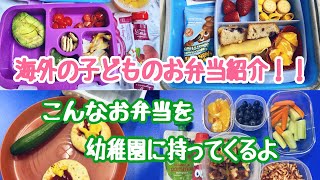 海外の子どものリアルなお弁当紹介！！幼稚園Ver