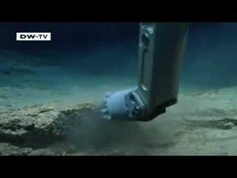 Exploring the Deep: Life under the Sea
