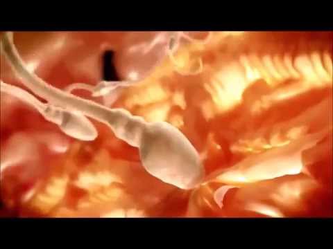 Malattie articolari e malattie del sistema immunitario Esercizi per il ginocchio gonartrosi congiunta