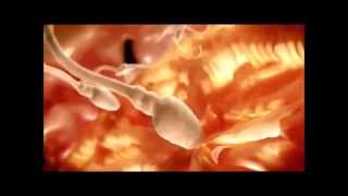 I primi cinque giorni