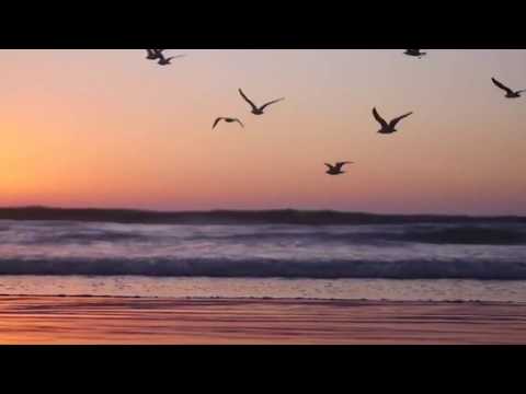 Quien te lo iba a decir    Valderrama