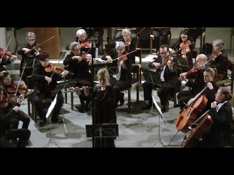 Saverio Mercadante - Flötenkonzert Nr.2 e-Moll op.57 - Allegro maestoso