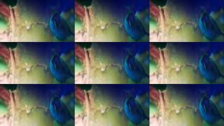 Manoel de Barros, por Brunna Ellen