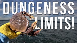 Puget Sound Crabbing: How We Caught LIMITS of Dungeness Crab