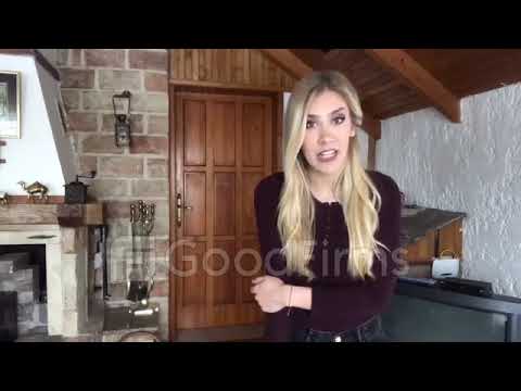 Video Review for Artjoker Software