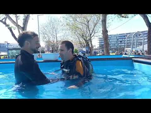 Dia da Marinha Portuguesa | Aveiro