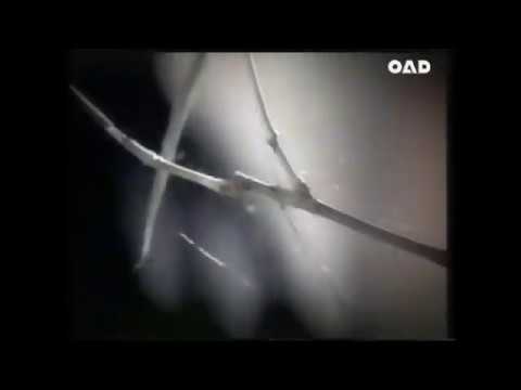 Sunsilk Nutrient Shampoo Healthy Soft TVC 30's, Thailand 2543-2000