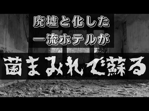 ホテルの部屋: 微生物学者が警告する 3 つの不快な驚き