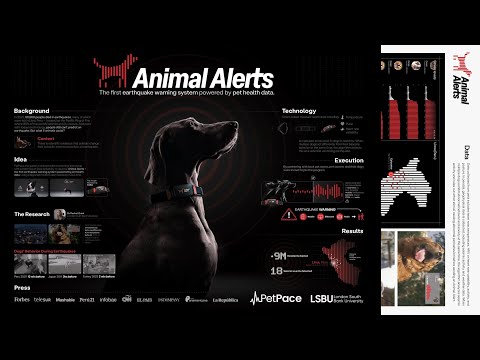 犬が地震を予測する / PetPace「ANIMAL ALERTS」