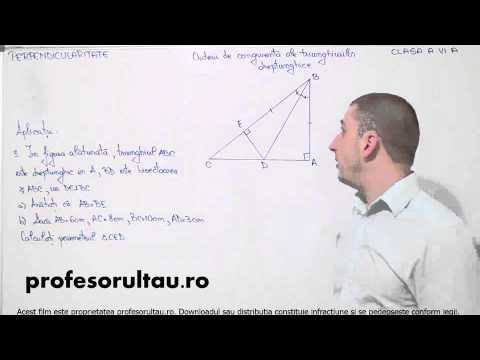 congruenta triunghiurilor dreptunghice probleme - profesorultau.ro