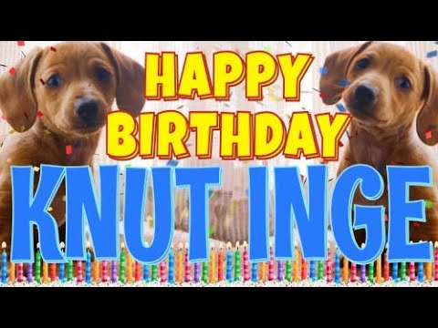 Happy Birthday Knut Inge! ( Funny Talking Dogs ) What Is Free On My Birthday