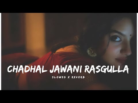Chadhal Jawani Rasgulla - LOFI | Slowed & Reverb | Neelkamal sigh new song.