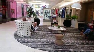 Sitting in a Flower Pot Can be Fun and Beautiful