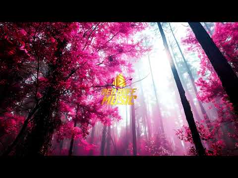 David Ciente❌Hai o Hai - Maria Chivu ❌ Jianca (EDM REMIX)