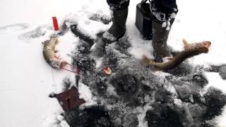 Рыболовном клубе сосенки