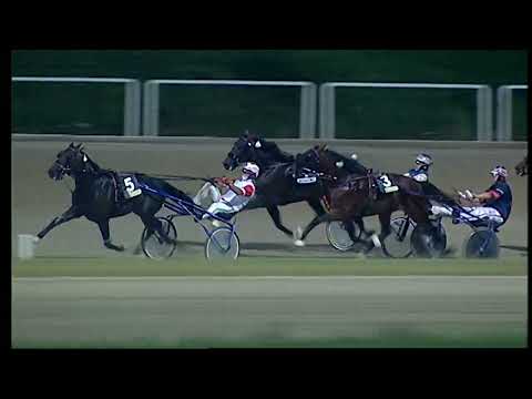 Napoli Trotto 23/07/2022 - 8ª corsa