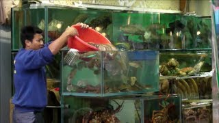 preview picture of video 'Live Fish and Seafood Restaurants in Sai Kung, Hong Kong. Part 3'