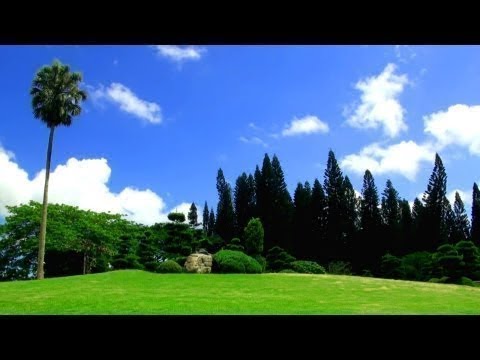 Relaxing Music + Over 100 Exotic Landscapes Nature Sounds   Relax TV, 3 Hours!