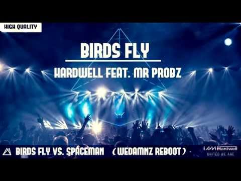 Hardwell feat. Mr Probz - Birds Fly vs. Spaceman (Hardwell Ziggo Dome Mashup) (WEDAMNZ Reboot)