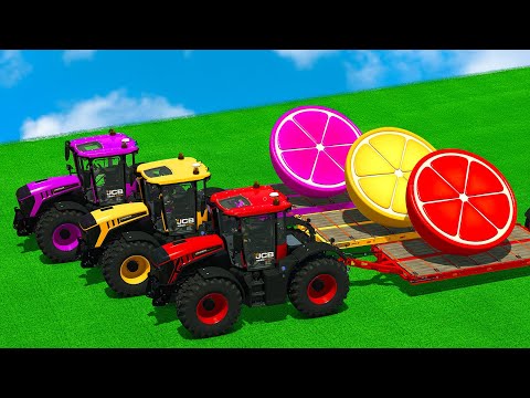 HARVEST, LOAD AND TRANSPORT GIANT ORANGE SLICES & SUGARCANE WITH JCB TRACTORS - FS 25
