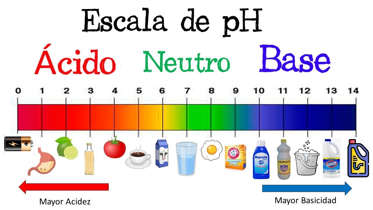 ⚠️ What is pH? pH Scale, EXAMPLES ⚠️ [Easy and Quick] | CHEMISTRY |