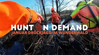 Januar Drückjagd 🐗 im Wunderwald von @jagdkrone