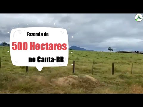 ⚠️ Fazenda de 500 Hectares na região do Canta em Roraima dupla aptidão