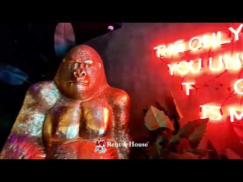 Imagen de Alquiler de Apartamentos en San josé - San josé San José - SAN JOSÉ