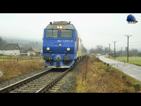 Horns Concert de Goarne By Jimmy 65-1300-6 in Muntii Apuseni Mountians - 18 March 2018