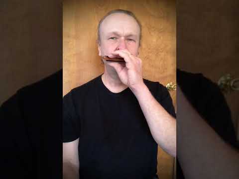 TRAIN IMITATION - Filisko Harmonica Method - Hohner “A” harp - Simplest version