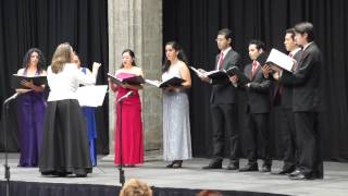 &quot;Locuras&quot; Silvio Rodríguez. Voces Latinoamericanas.