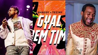 Shaggy , TeeJay - Gyal Dem Time