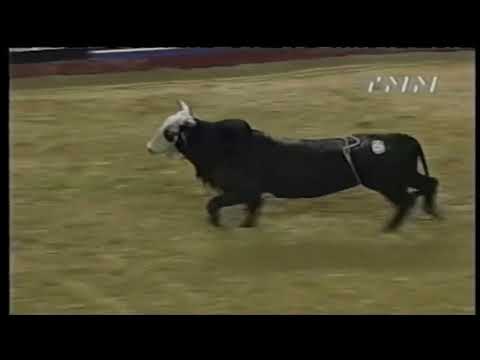 Hard Copy bucks Barry Gullo - 00 PBR Columbus, GA