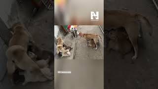 Ngại online luôn...