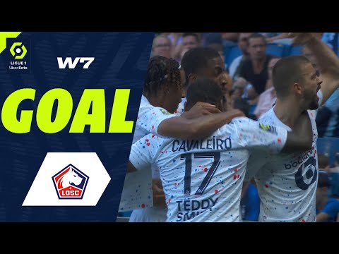 Goal Yoann SALMIER (52' csc - LOSC) HAVRE AC - LOSC LILLE (0-2) 23/24