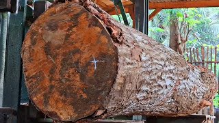 the amazing process of precision sawing of logs in a sawmill