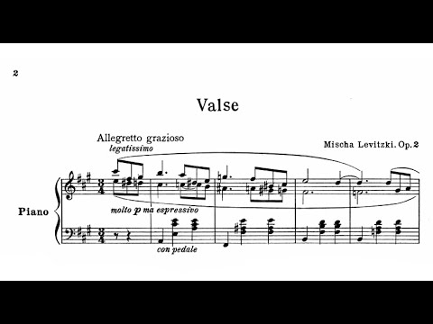 Mischa Levitzki - Valse, Op.2
