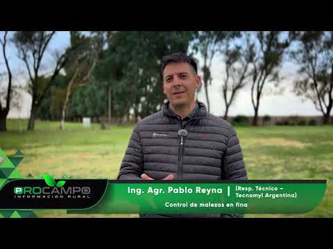 Manejo de malezas en fina - Tres Arroyos (Buenos Aires) @tecnomylargentina2063