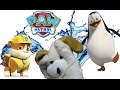 Don't Rock the Boat with Excite Dog and PAW Patrol Toys Don't Rock the Boat with Excite Dog and PAW Patrol Toys