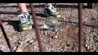 Abandon All Hope (THE DREAM) (instrumental) ZRL Tucson AZ