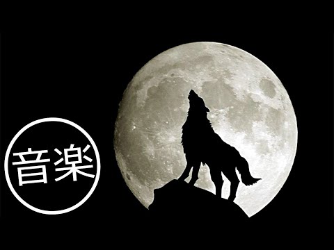 Nippandab & Dayna Madison - All Night