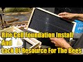 Rite Cell (Plastic) Foundation Install & Lack Of Resources For Bees