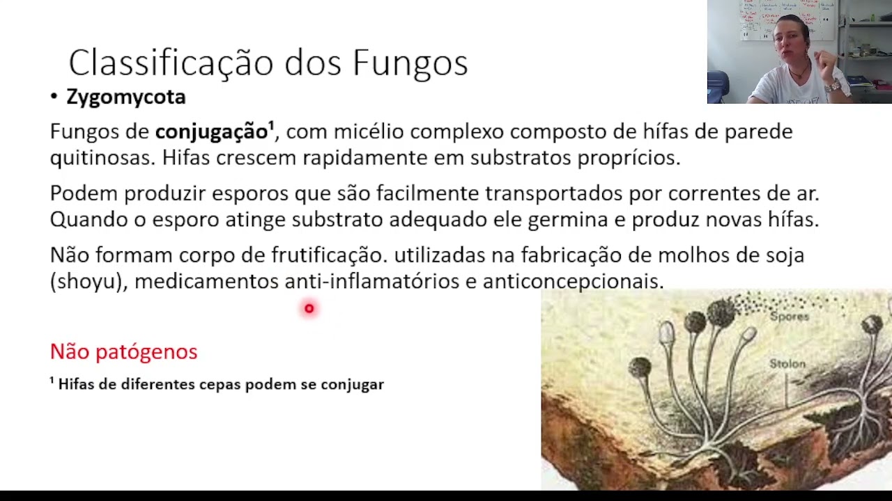 Unidade 6 video 1