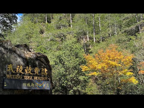 武陵農場收費站即時影像
