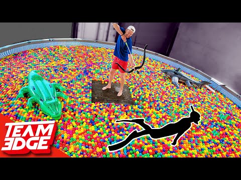 Shoot the Person Swimming in the Ball Pit!! | 10,000 Play Balls in a Pool!! Video