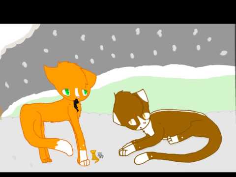 Hollykit, Lionkit, and Jaykit's birth